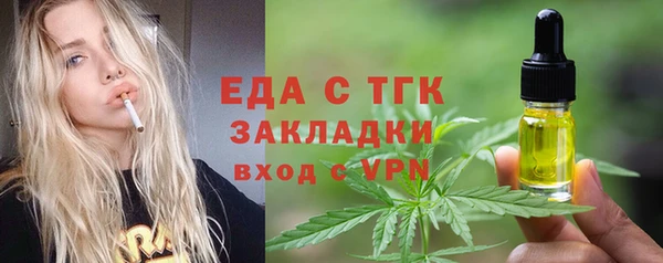 ECSTASY Горняк