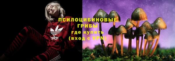 mdpv Вязники