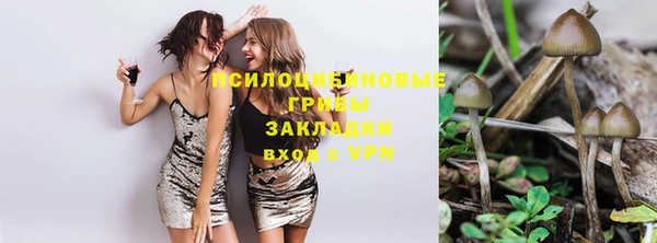 mdpv Горнозаводск