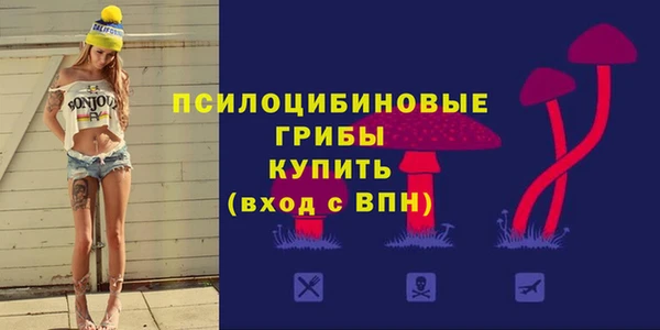 ECSTASY Горняк